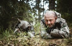 Peter Ekeström Dogworks